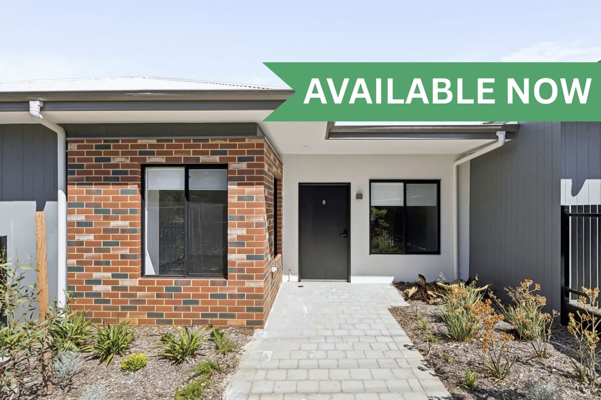 A modern accessible SDA home in Gosnells